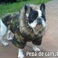 chupa camuflaje lista para el combate